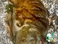 ����, ���������� � ������� �����������