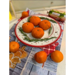 "��������� ��������"