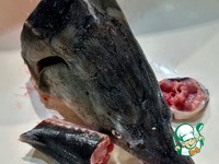 ��� ������. ���� ����� � ����� �����������