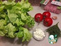 ������ � ����������� ����� �����������