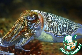 ������� ����������