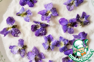 ������������ �����