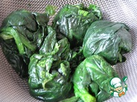 �������� � ������� � �������� �����������