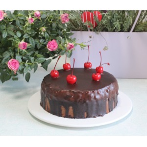 ���������� ���� "��� ����"