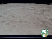 ���� "�����" �����������