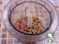 �����-��������� ������ � �������� �����������