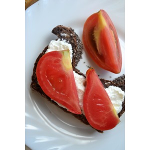 ���� ��������� ���������������