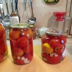 Помидоры "Душистые" Помидоры "Душистые"