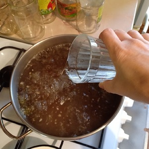 Помидоры "Душистые" Помидоры "Душистые"