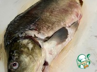 ����. ������ ���� �����������