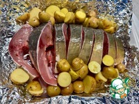 ����. ������ ���� �����������