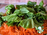 ����� "��������" �����������