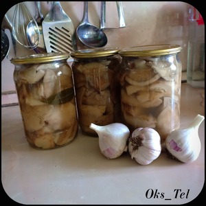 ������ ������������