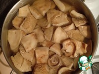 ������ ������������ �����������