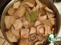 ������ ������������ �����������