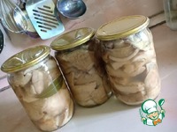 ������ ������������ �����������