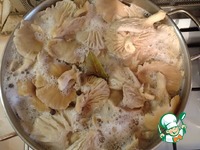 ���� ������� �� ������� � �������� �����������