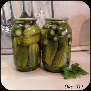 ������ "�� ������"