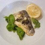 ������� ����� ��� ��������-�������-��������� ������