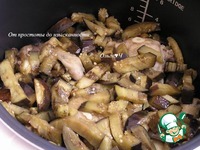 ������ � ����������� � ��������� �����������