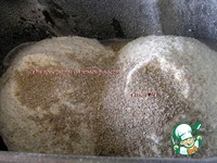 ������� ������ ���� �����������