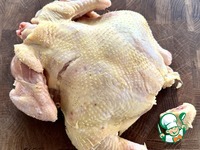 ������ �� ������� �����������