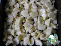 �������-��������� ������ �����������