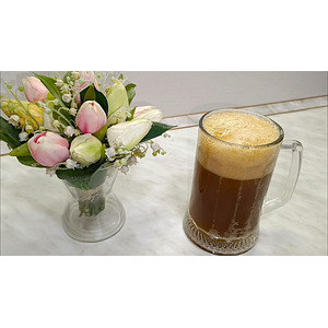 ���� �� �������