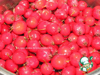 ������� �� ���������� � ������ �����������