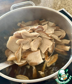 Грибной суп. Из сушеных боровиков Грибной суп. Из сушеных боровиков