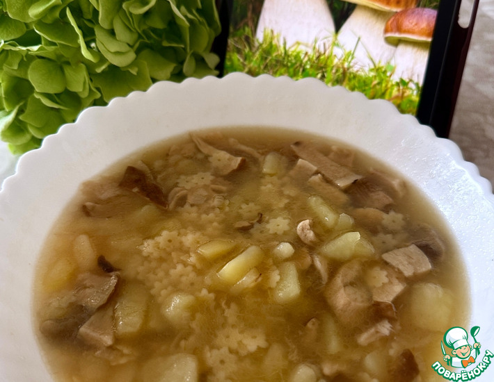 Грибной суп. Из сушеных боровиков Грибной суп. Из сушеных боровиков