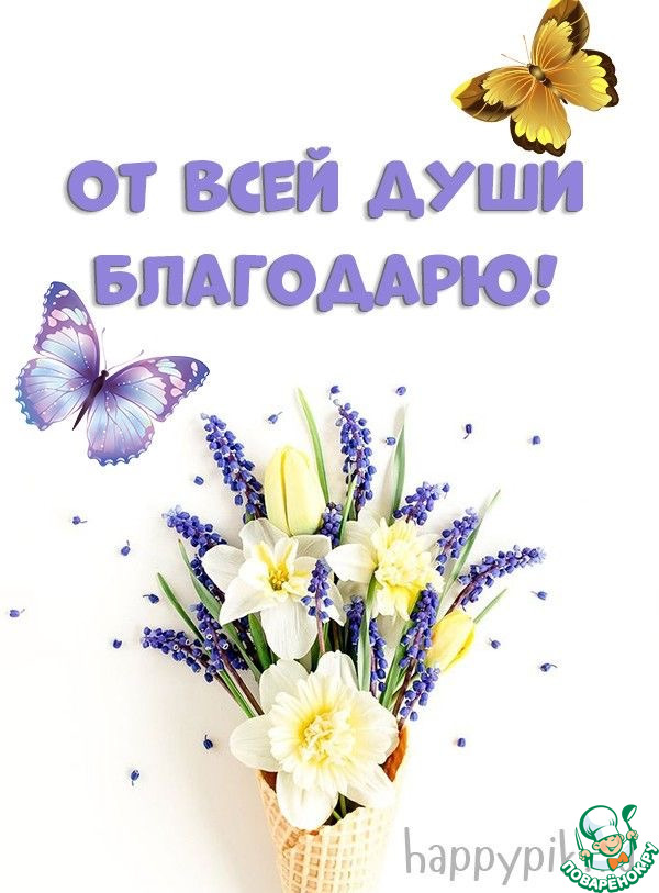 �����! ������� �������!