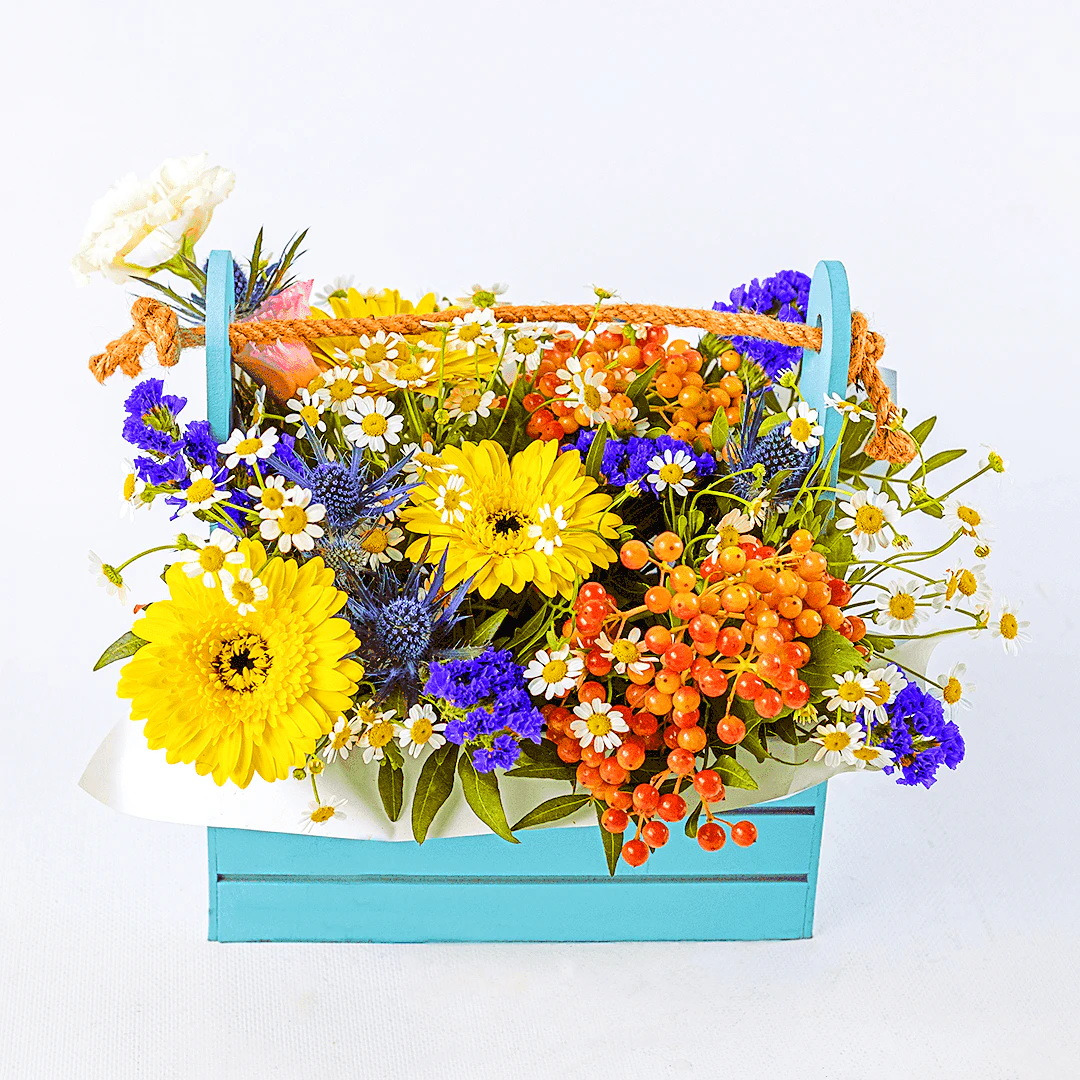 ���-7 ����� ���������� ������ �� 1 ��������