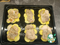 ���� � ���������� � ������� �����������