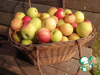 ����� �������� �����������