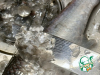 ������. � ������� �����������