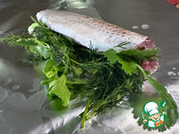 ������. � ������� �����������