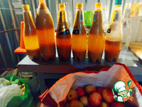 ���� �������� �����������