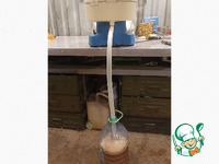 ���� �������� �����������