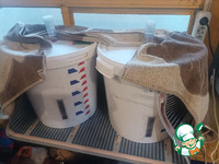 ���� �������� �����������