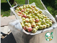 ���� �������� �����������