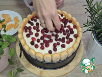 ������������ �������� �����������