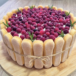 ������������ ��������