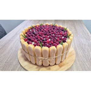 ������������ ��������