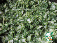 �������� � �������� � �������� �����������