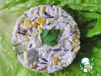 ����� � ����� ����� � ������� �����������