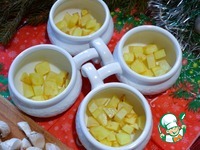 ������� � ������� � ���������� �����������