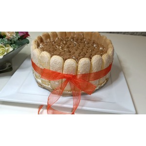 ���� "��������" ��� �������