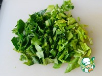 ������ ������� � ������������� � �������� �����������