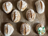 ������ ������� " �������" �����������